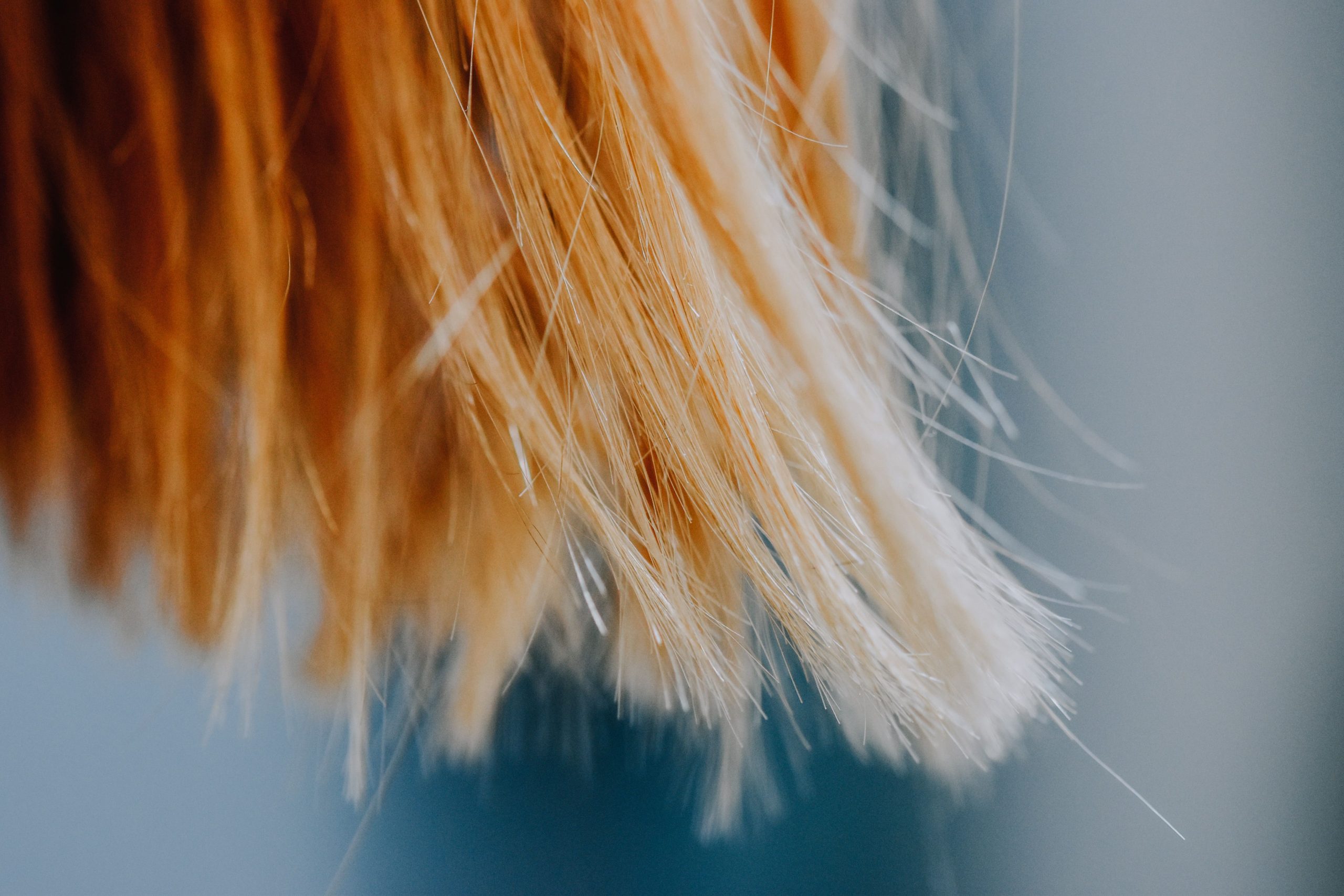 Close-up of reddish-brown hair